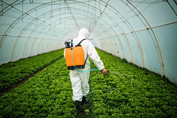 Best Pest Control Treatment  in Duncansville, PA