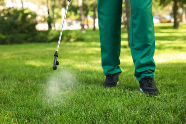 Best Insect Control  in Duncansville, PA